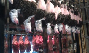 Easter turkeys!
