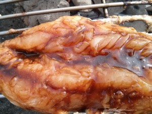 Hot mackerel!